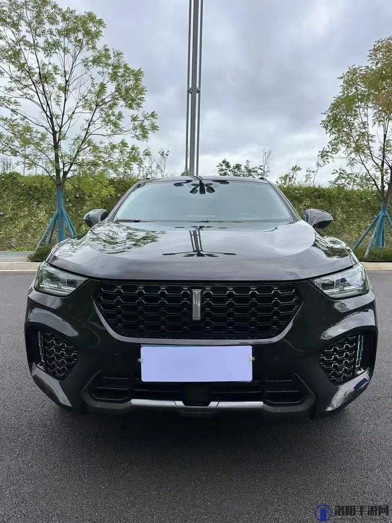 WEYVV5 国产的 SUV 领袖：引领国产 SUV 市场的卓越之选