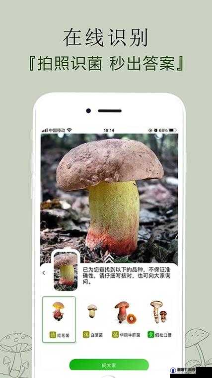 蘑菇 mogu 免费官网下载网址：安全可靠的官方软件资源库