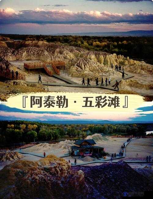 新疆 XXXXXXL49 免费看：揭秘神秘地域的文化与风景