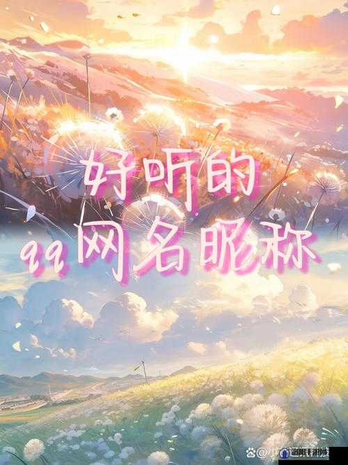 男生将坤坤申请女生定眼：一段独特情感的开启之旅