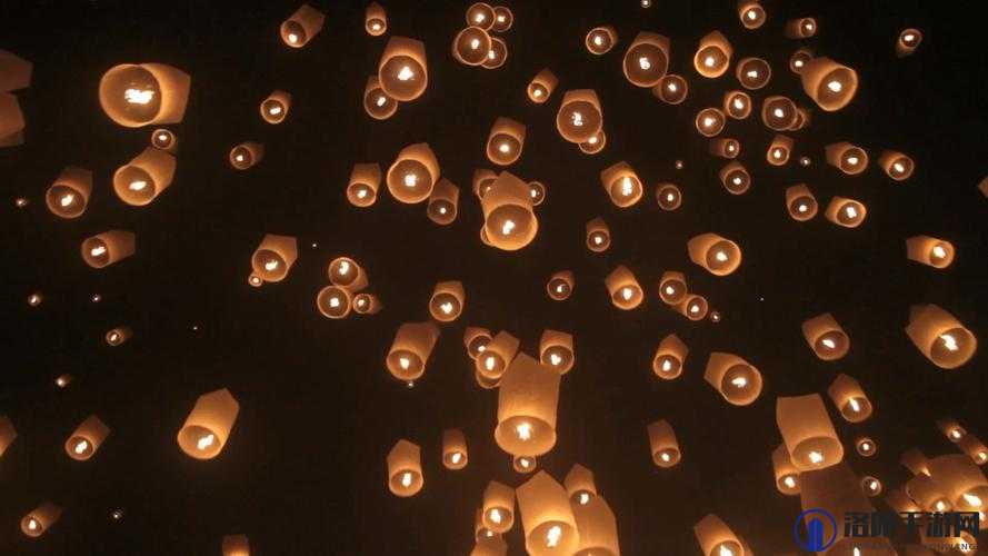 空中女士美国满天星的独特魅力与精彩呈现