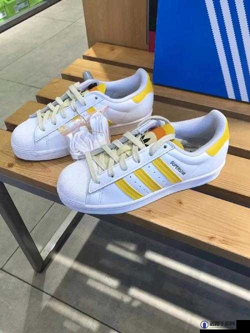 三叶草 gz6985 之独特魅力与相关介绍