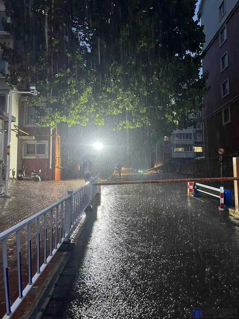 下雨天公交车站避雨 1 技巧：实用方法让你保持干爽