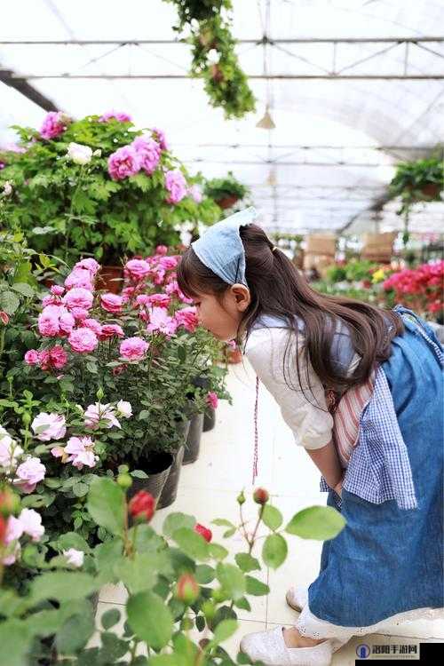 花房姑娘免费大全好看:带你领略不一样的精彩世界