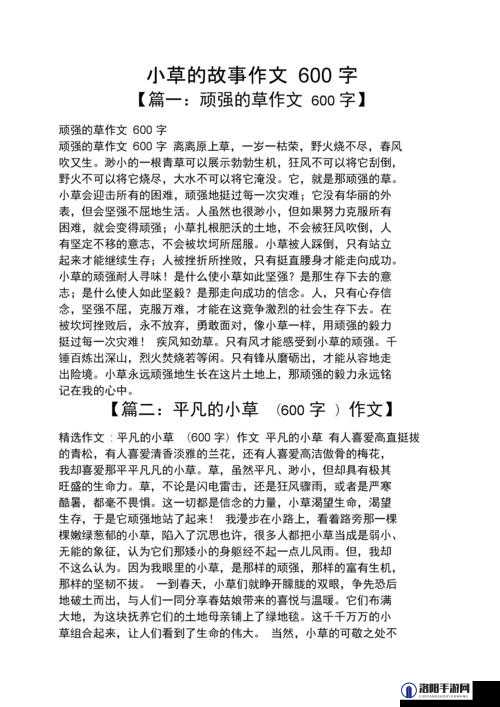 小草回家的路入口在哪里 2024：一个引人深思的问题