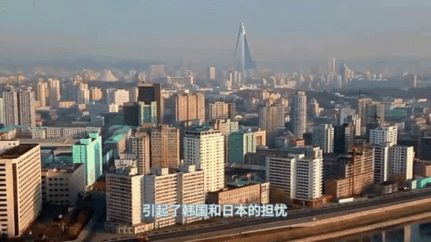 最新韩国日本：两国政治经济文化发展动态全扫描
