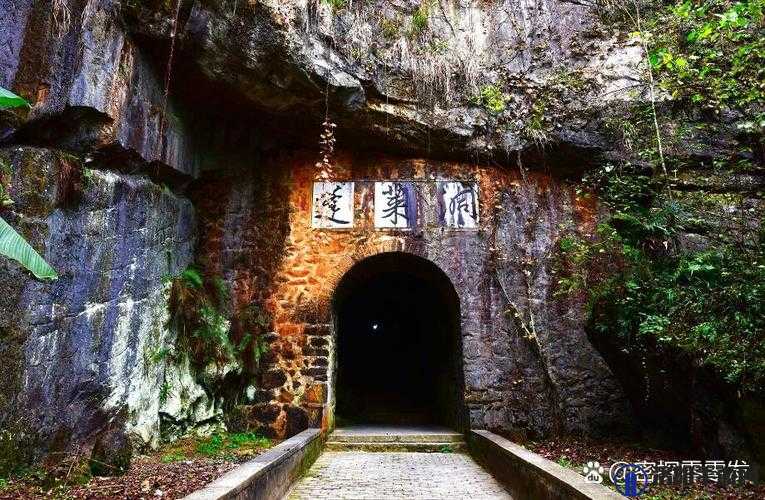 哥伦布洞窟 1-3：神秘而令人向往的独特景观探秘之旅