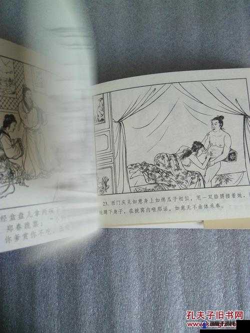 林娘子府中逢甘雨：一段扣人心弦的传奇故事