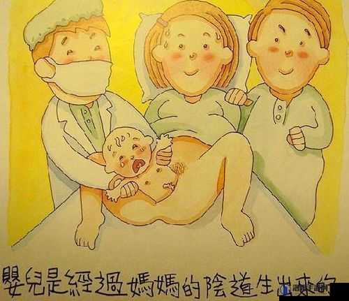 拔萝卜生猴子不盖被子：那些充满童趣的奇思妙想