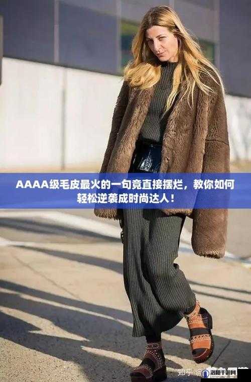 AAAA 级毛皮最火的一句竟直接摆烂：我被这惊人的现象惊呆了