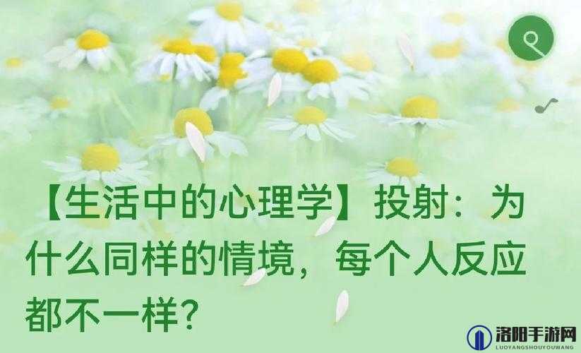 松紧重要还是水重要：探讨两者在不同情境中的关键影响