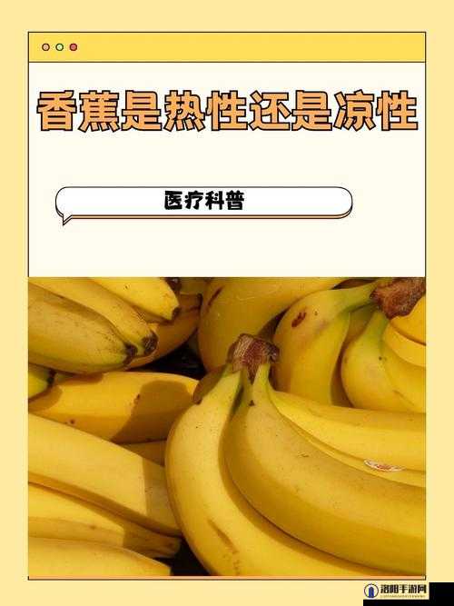 911 香蕉 ：独特口感与丰富营养令人难以忘怀