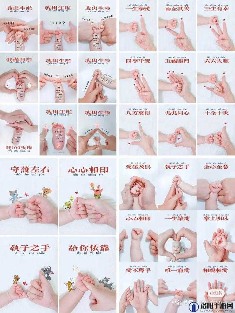 扣小花园的手势图步骤详细解析与实践指导