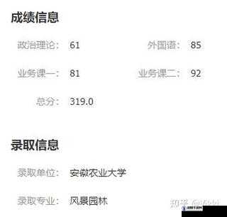 男人逆袭记，招聘答案汇总与深度解析