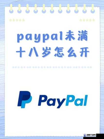 PAYPAL 未满十八岁:支付安全与法律风险