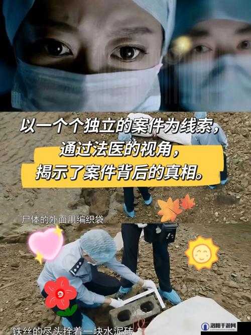 亚洲视频：揭示背后的真相与危害