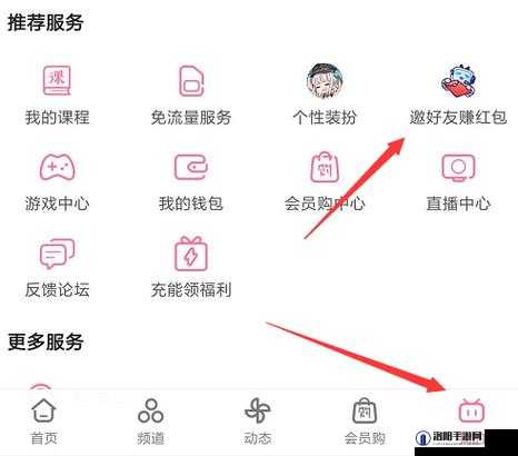 b 站大全永不收费 2024 入口在哪 123:探寻其背后的秘密与价值