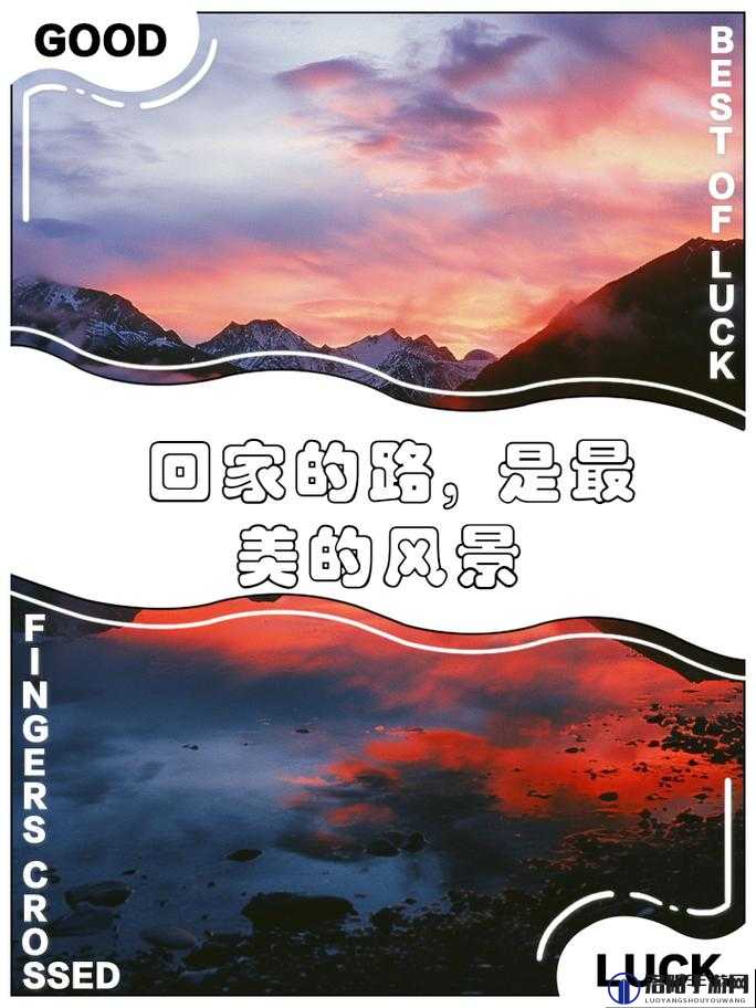 cl.xyz 中间填什么 回家：踏上温馨的归家之旅
