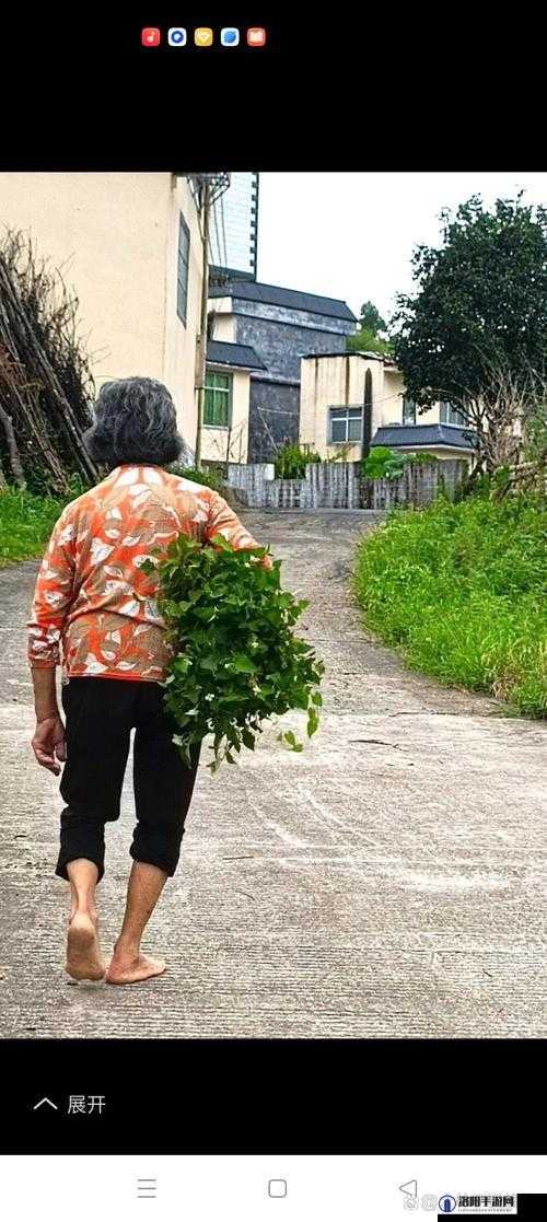 一位神秘的色老妇引发的惊天秘密