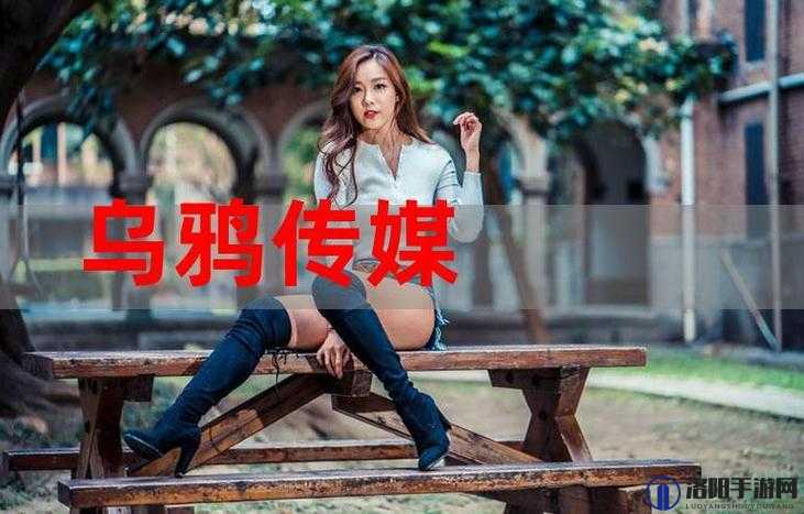 乌鸦传媒一二三区：打造多元化创新媒体平台引领未来发展新方向