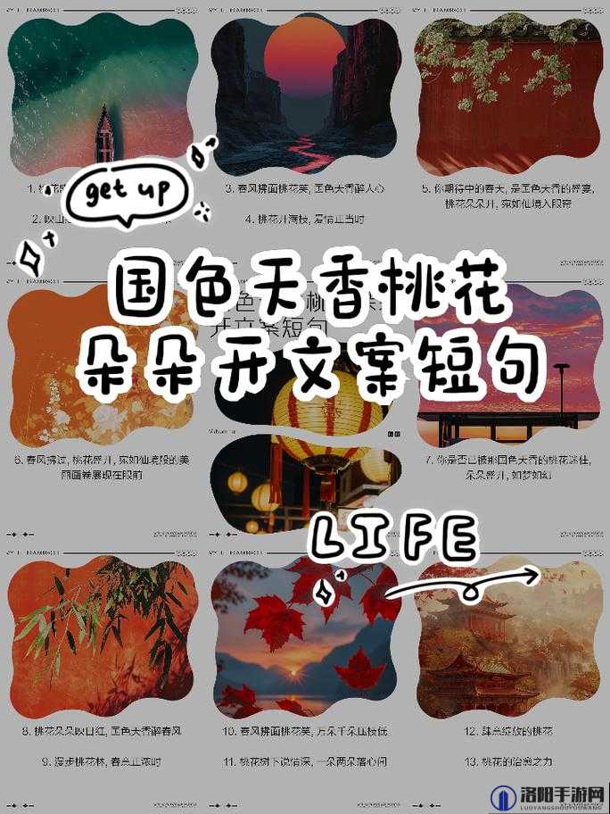 国色天香桃花朵朵开:探寻花影背后的浪漫诗意