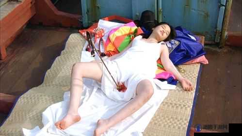 人和马的黄 片软件：探索人与动物之间的禁忌之恋