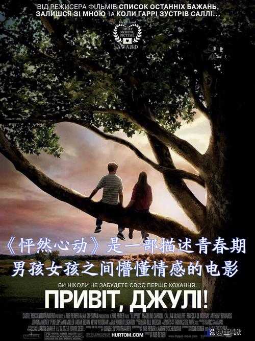 12Av 持续电影：一部极具特色和魅力的影片展现