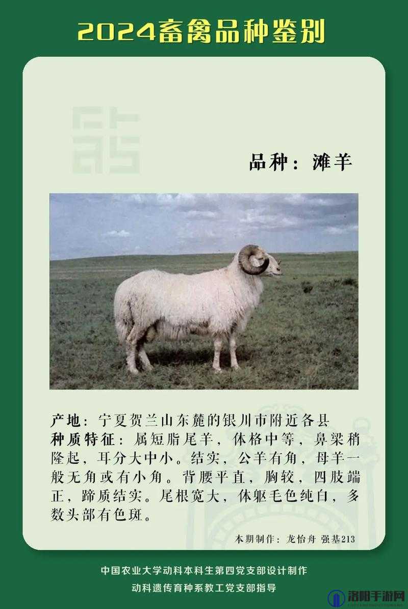 人类与畜禽共性的最高境界：探索物种间的奥秘