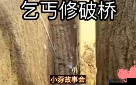 桥下将自己贡献给乞丐免费阅读：一段令人深思的善举之旅