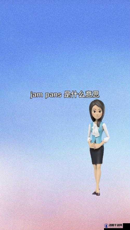 janpensevisa1819：一段充满神秘色彩的独特标识