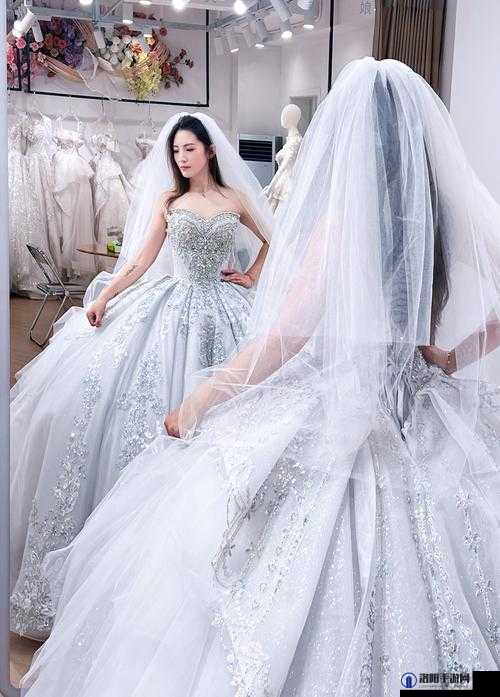 仙踪林在线入口欢迎您婚纱：浪漫婚纱开启梦幻之旅
