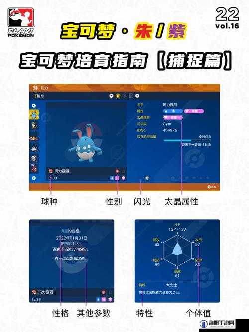 宝可梦朱紫攀瀑招式学习器在哪里？攀瀑招式学习器位置一览