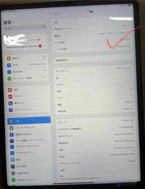 16 岁日本学生的 MacBook Pro 为何反而比影视更受欢迎