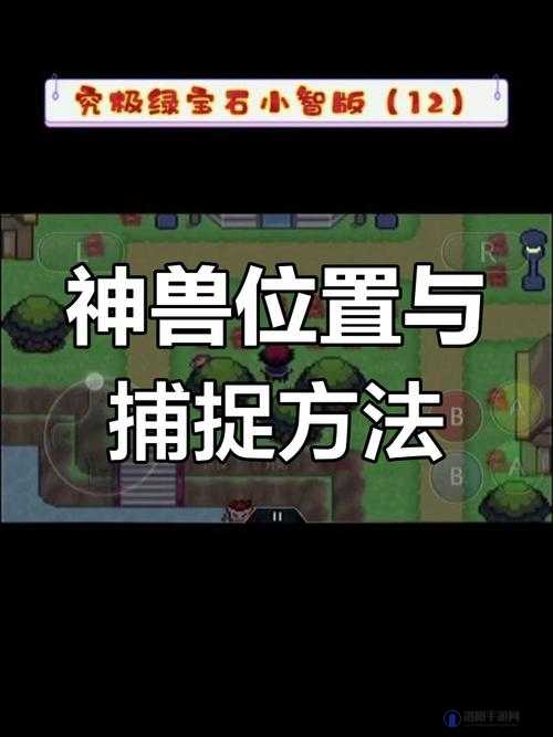 究极绿宝石5.4一周目，神兽捕捉全攻略