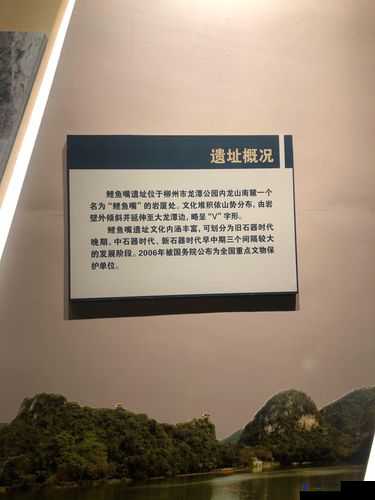 关于 japanesehdpomoⅹxxjapan 的独特探索与发现