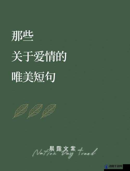 从厨房一路做到客厅然后开始一场浪漫的爱情故事