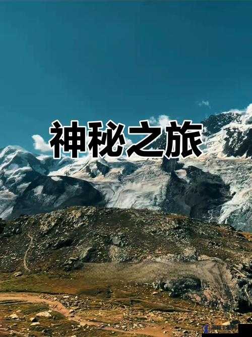 Q661953q？：探索未知的神秘之旅