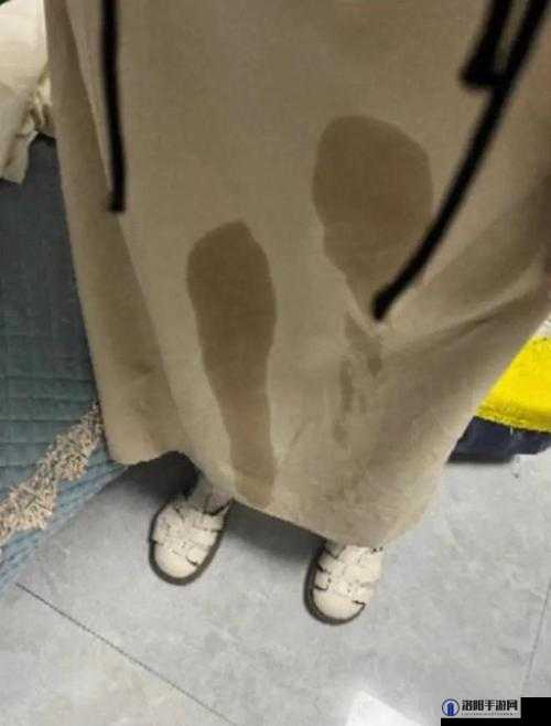女子撒尿全过程密免费：私密瞬间大揭秘