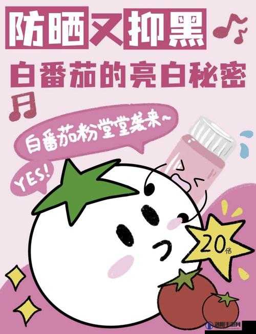 熬夜必备之黄去黄粉色：让肌肤焕发光彩的秘密武器