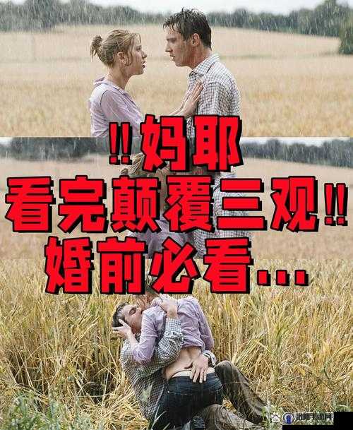 97 移淫欲荡妇区：揭示人性欲望的神秘之地