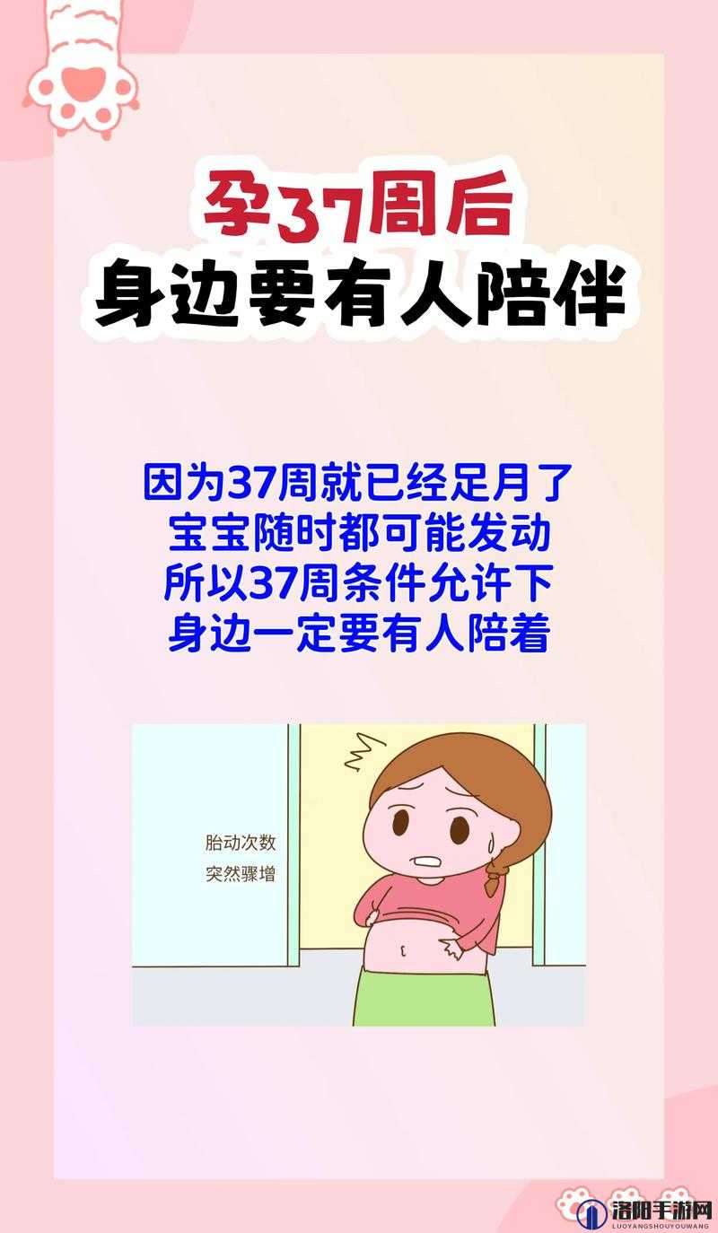 高品质孕妇轮 WHEELTPE 安全舒适，陪伴孕期每一天