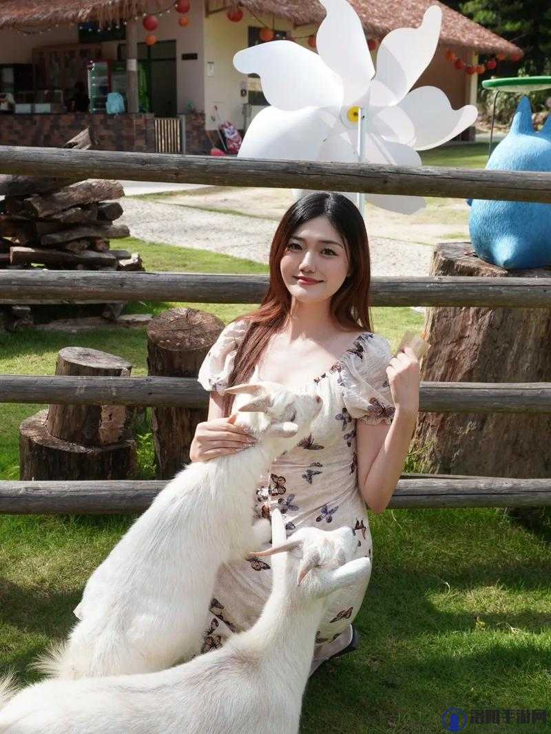 美女又爽又黄网九幺软件：畅享极致刺激体验