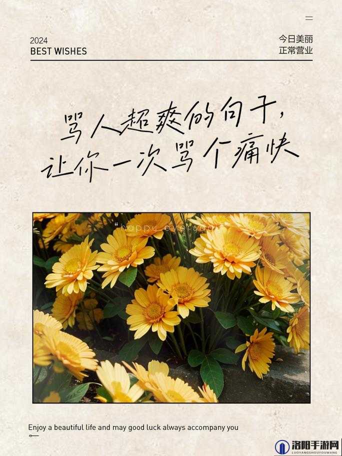 骂到湿的句子令人震惊:深度剖析背后的情绪宣泄