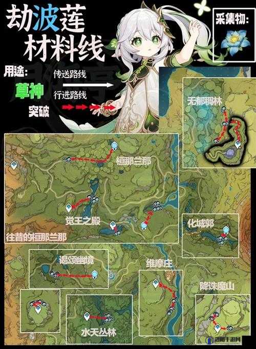 原神劫波莲采集路线全揭秘，助你轻松收集！