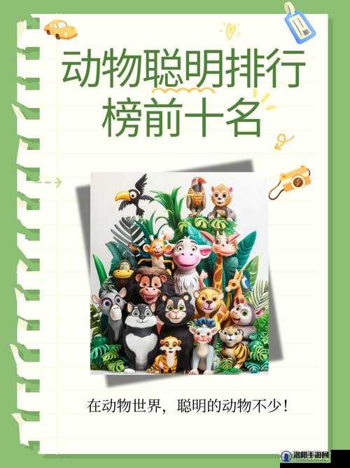 青青草原国产之神奇动物世界大冒险