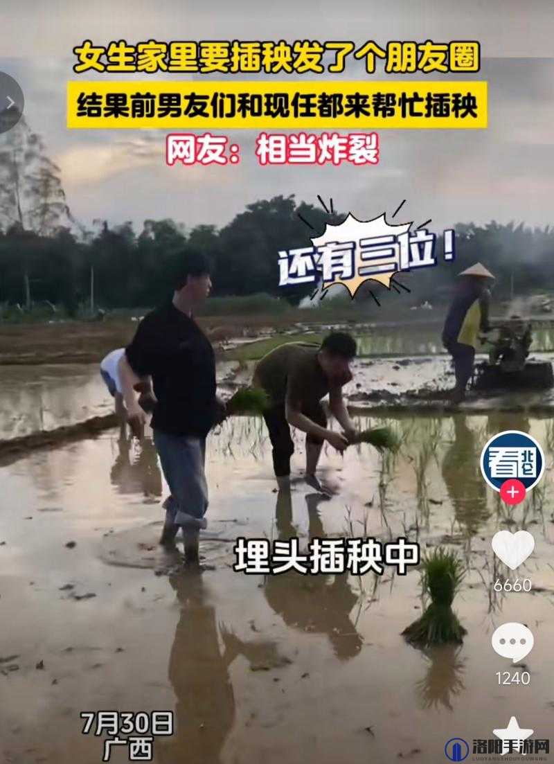 男友说想插秧了，该怎么回复？