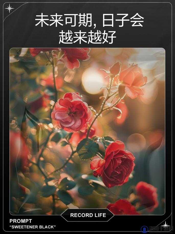 高敏与王虎的爱情故事:一路相伴走过风雨终见彩虹