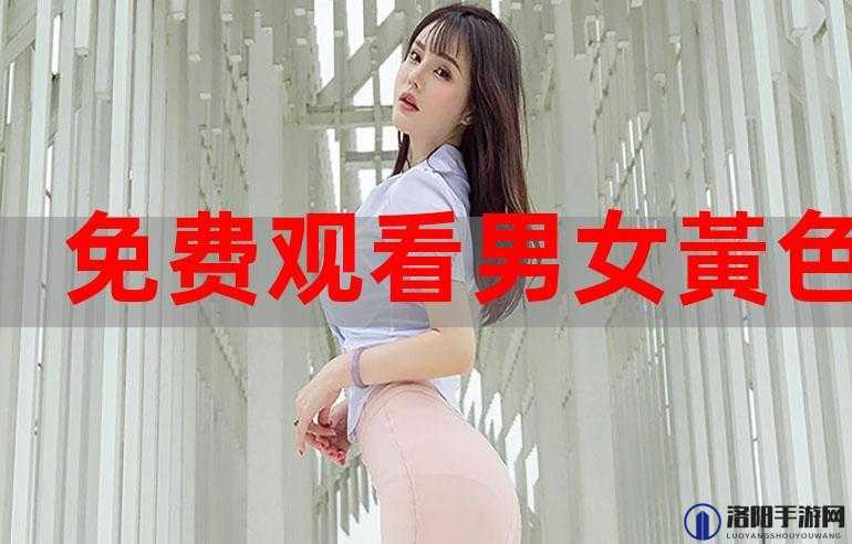 璜铯视频在线下载：畅享高清资源无需等待