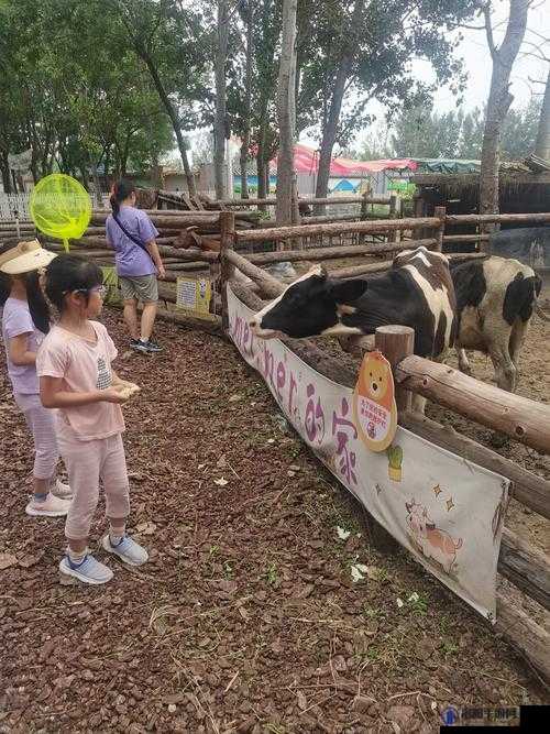 欢迎来到人猪交互 MOUSE 农场，体验不一样的养殖乐趣