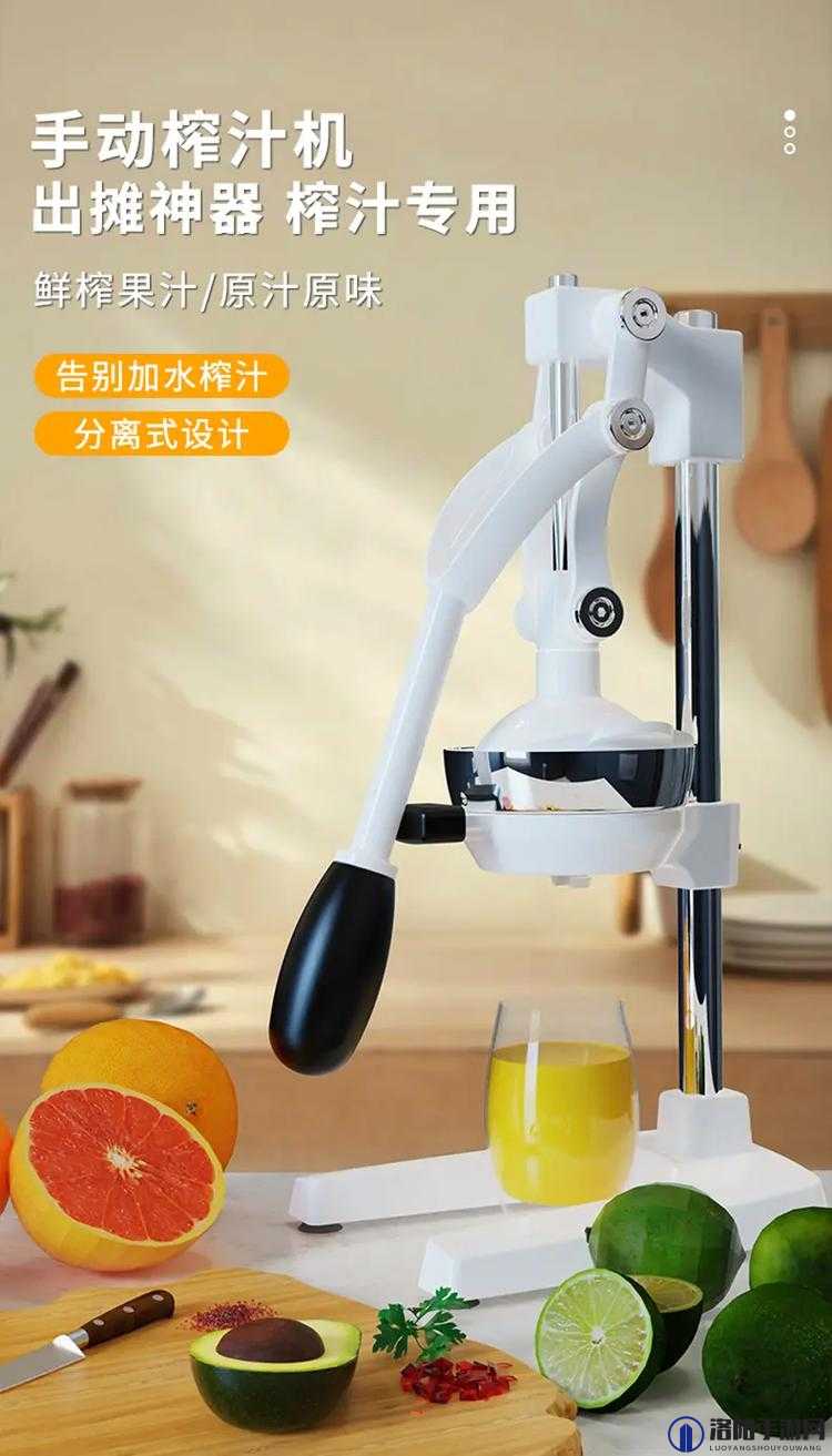 c93t 榨汁机：一款让你享受美味果汁的便捷神器